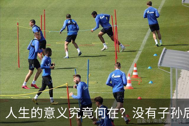 人生的意义究竟何在？没有子孙后代，何从期待未来？